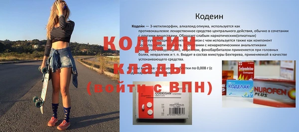СК Коряжма