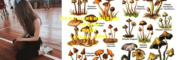СК Коряжма